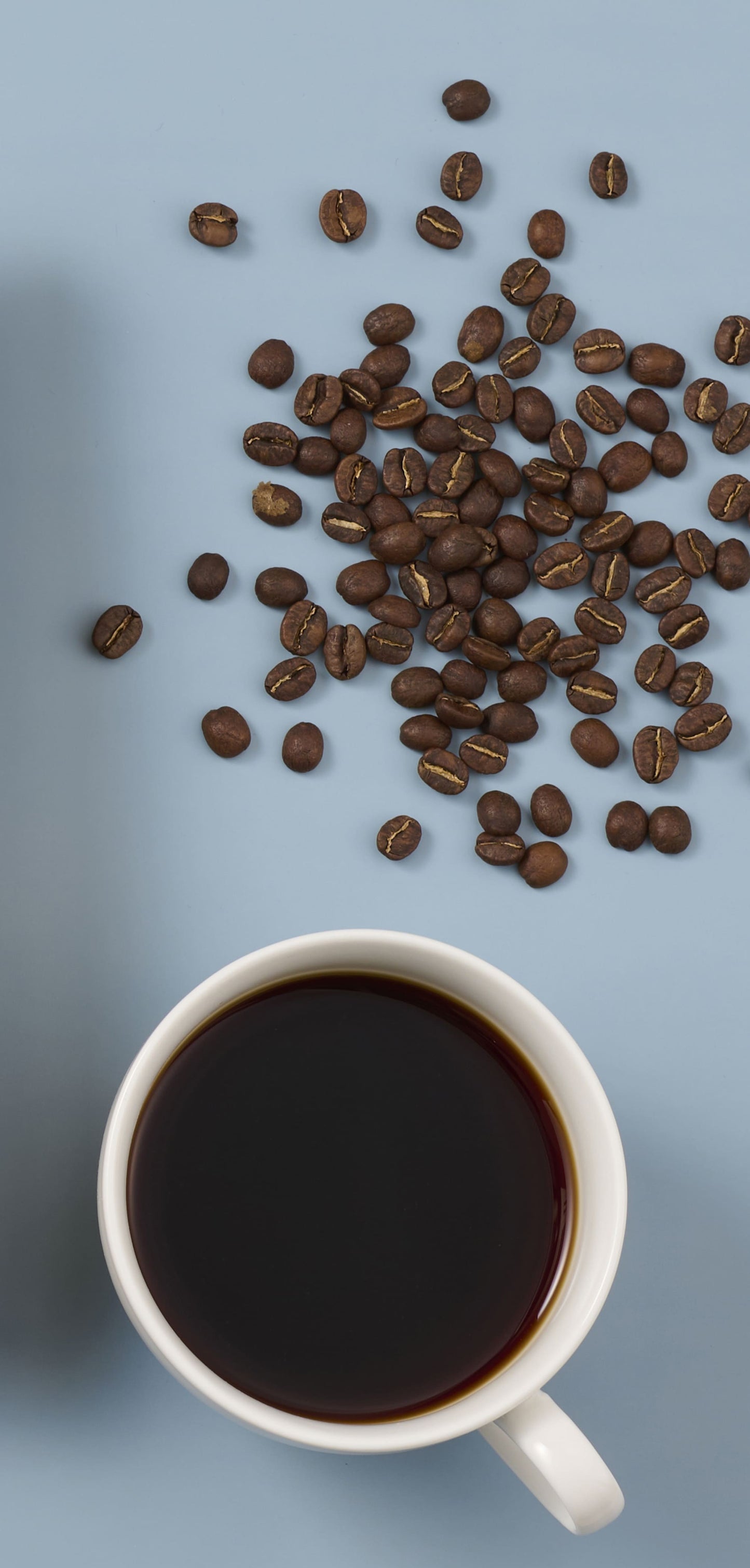 ンゴロンゴロ・コーヒー(フルウォッシュド/中浅煎り&中深煎り)