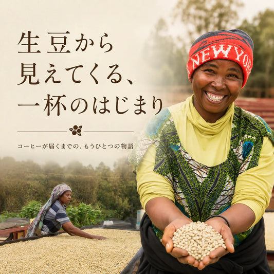 コーヒー豆は、最初から茶色ではありません